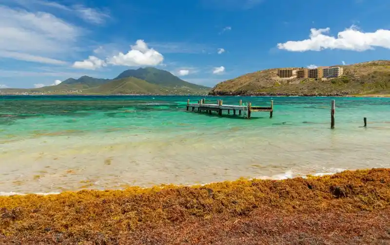 Untitled-design-11-1